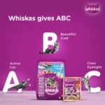 Whiskas Tasty Mix Junior Pouch Seafood Cocktail Carrot Flavor in Gravy for Cats 70g - Image 6