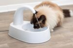 Trixie Curved Stream Drinking Fountain for Dog and Cat - White (25x24.5x35 cm) - Image 2