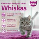 Whiskas Mackerel Junior Cat Dry Food, 450 g - Image 6