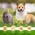Petkin Peanut Butter Plaque Gel for Dogs and Cats, 120 ml - Image 4