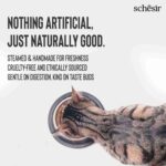 Schesir Chicken & Rice With Duck In Solution Adult Cat Wet Food, 50g - Image 6