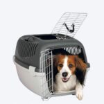 Trixie Capri 3 Open Top Carrier for Dog and Cat, Grey (24L x 16W x 15H Inch) - Image 2