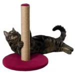 Trixie Cat Scratching Post on Plate - Image 2