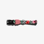 Zee.dog Canyon Collar for Cats