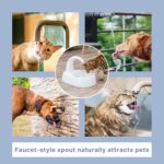 Trixie Curved Stream Drinking Fountain for Dog and Cat - White (25x24.5x35 cm) - Image 4
