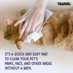Pawpaya Oatmeal Pet Wipes for Dogs and Cats, 100 Pull Pack (20x18cm) - Image 3