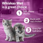 Whiskas Tasty Mix Junior Pouch Chicken Tuna Sweet Potato Flavor in Gravy for Cats 70g - Image 9