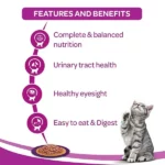 Whiskas Salmon in Gravy Wet Adult Cat (+1 year) Food - 85gm - Image 6