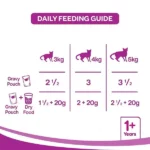 Whiskas Salmon in Gravy Wet Adult Cat (+1 year) Food - 85gm - Image 5