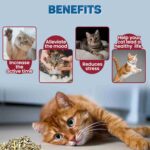 Trixie Premium Catnip for Cats, 20 g - Image 4