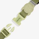 Zee.dog Moss Harness And Leash for Cat - Image 2