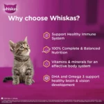 Whiskas Tasty Mix Junior Pouch Seafood Cocktail Carrot Flavor in Gravy for Cats 70g - Image 2