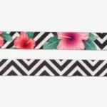 Zee.dog Canyon Collar for Cats - Image 3