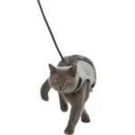 Trxie Soft Harness with Leash for Cats (24-42cm 1.20m)