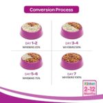Whiskas Junior Ocean Fish Milky Dry Food for Cats, 50g - Image 5