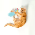 Barkbutler Fofos Birthday Balloon Catnip Toy for Cats - Image 2