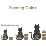 Applaws Tuna Fillet with Whole Anchovy Cat Wet Food, 70g - Image 5