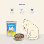 Billycious Tuna Chunks in Chicken Gravy Wet Cat Food, 85g - Image 3